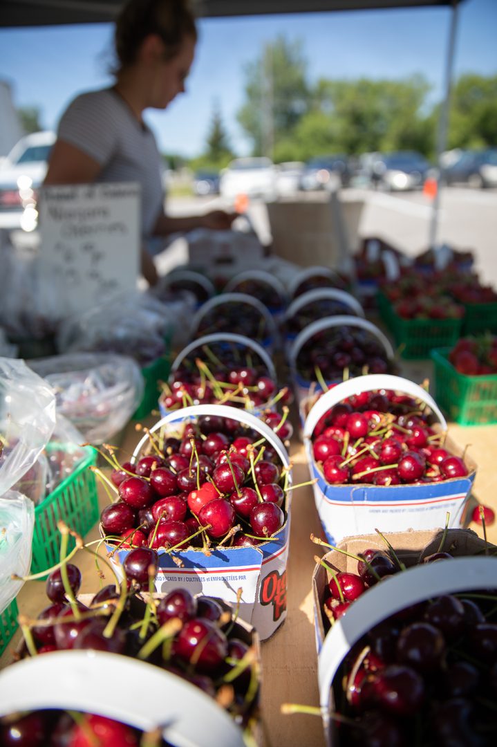 Cherries at Clarington Farmers Market