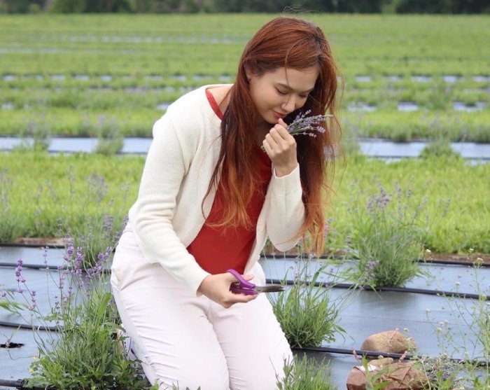 Women Picking Lavender