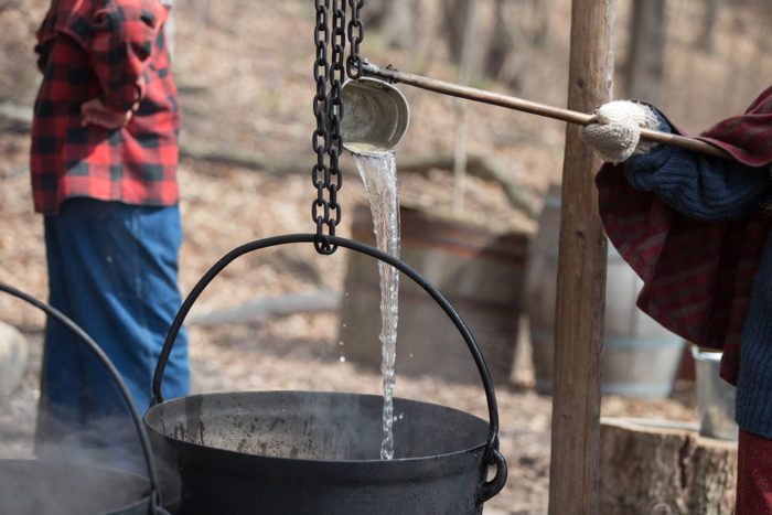 Maple Syrup Festival