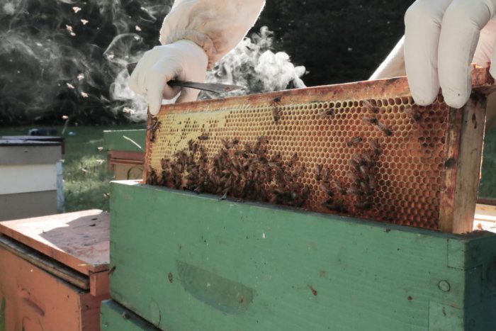 Ontario Honey Creations 