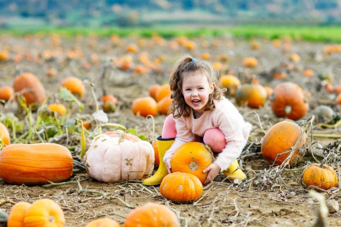 Kid in Pumpkin Patch
