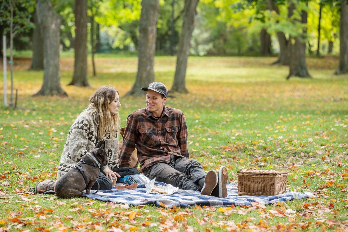 couple having picnic