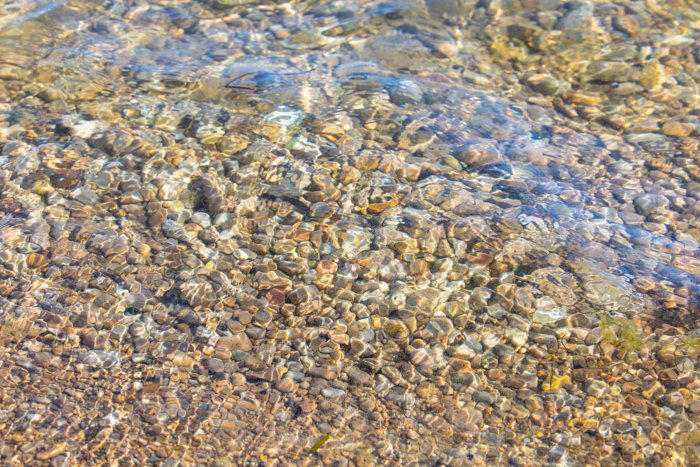 Water at Sibbald Point