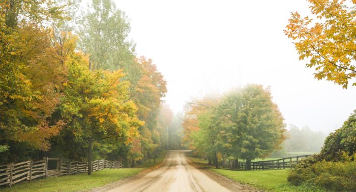 Fall road on a misty morning